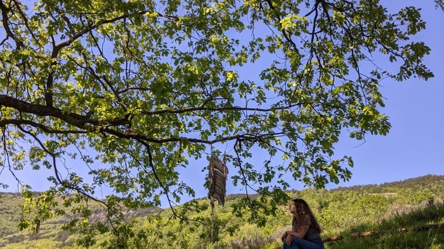 L'immagine attuale non ha un testo alternativo. Il nome del file è: 22-oak.jpg