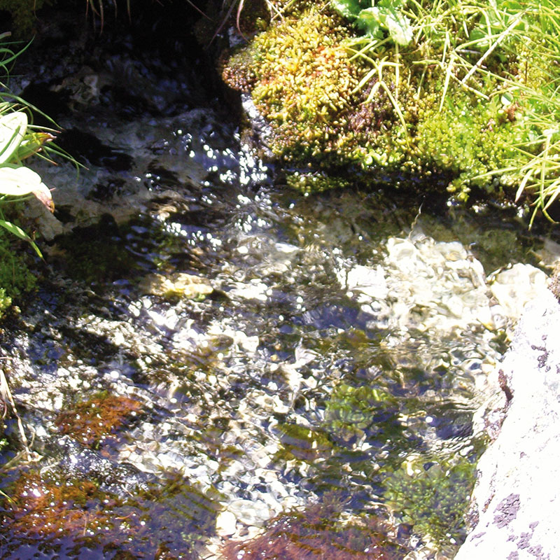 L'immagine attuale non ha un testo alternativo. Il nome del file è: 27-rock-water.jpg