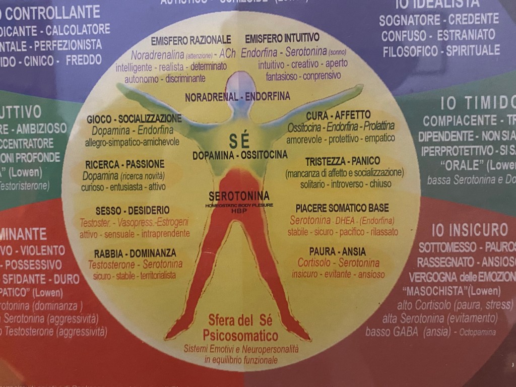 IMPARIAMO A RESPIRARE ATTRAVERSO I NOSTRI&nbsp;MAESTRI