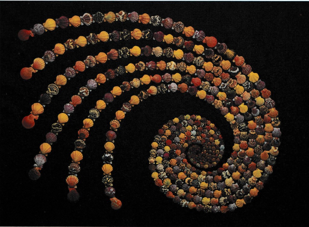 IMPARIAMO A RESPIRARE ATTRAVERSO I NOSTRI MAESTRI&nbsp;2/2